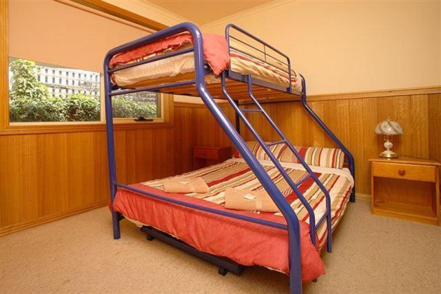 Apollo Bay Backpackers Lodge Zimmer foto